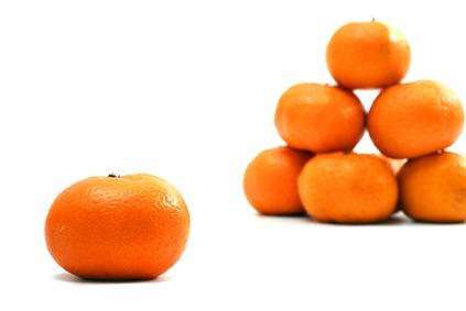 Tangerine Ape photo